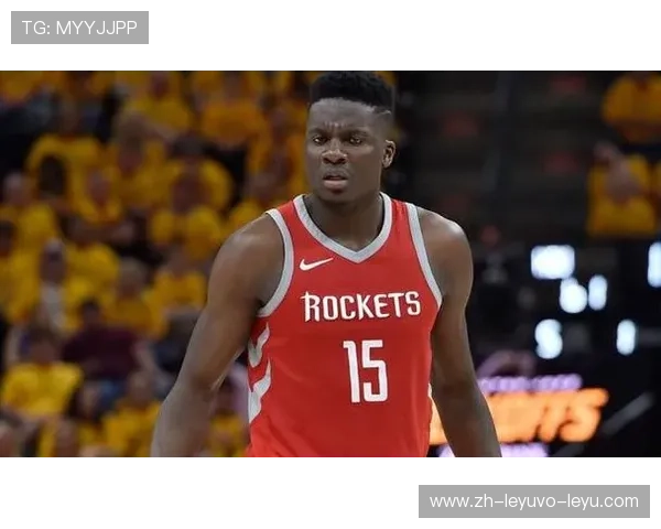 NBA篮板王榜单及顶级篮板手解析