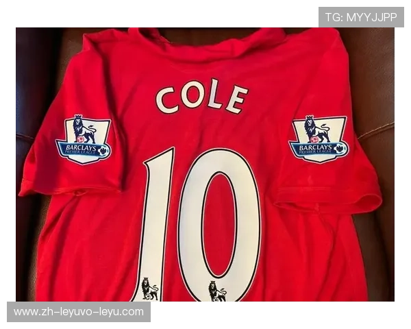 英超2018年球衣赞助品牌排行榜