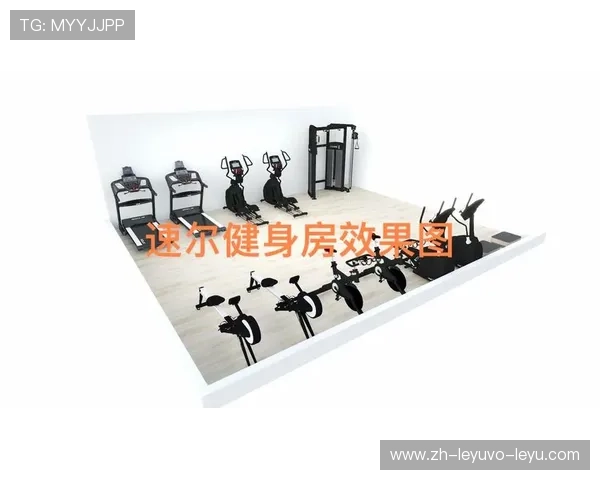 成都速尔健身器材品牌产品特色解析