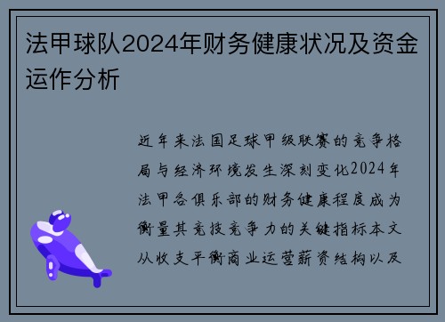 法甲球队2024年财务健康状况及资金运作分析